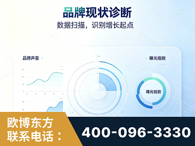 双辽-品牌现状诊断