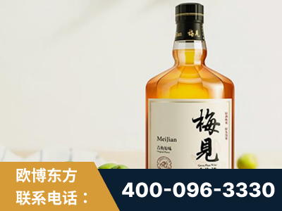 双辽-梅见青梅酒