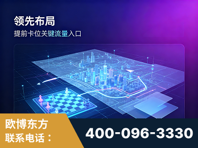 双辽-领先布局：于2024年初开启GEO业务的公司
